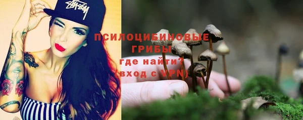 a pvp Верея
