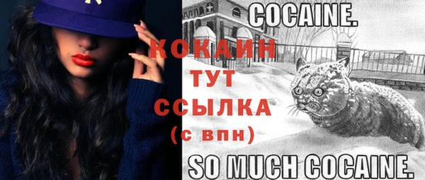 a pvp Верея